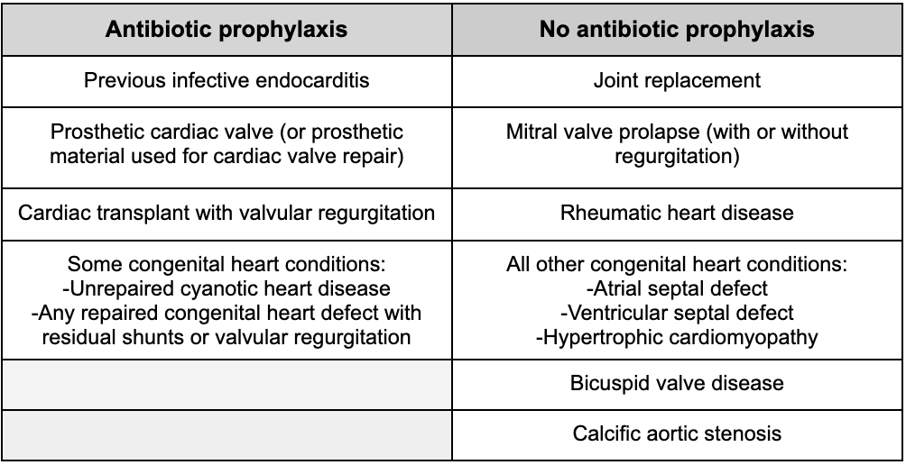 High Yield Antibiotics to Know for the INBDE INBDE